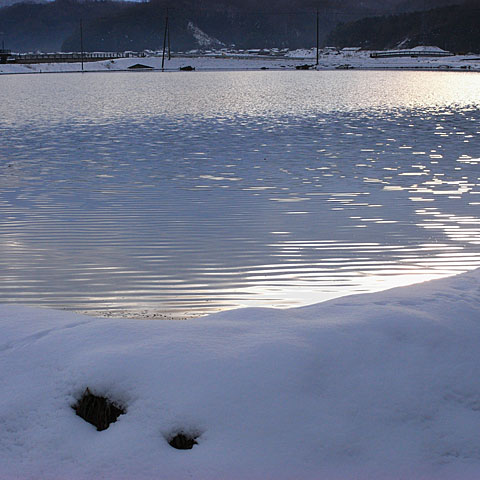 c0067040_16194158.jpg