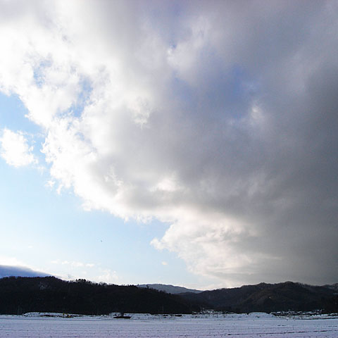c0067040_1619680.jpg