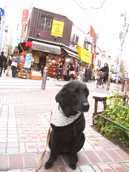 c0039145_2345847.jpg