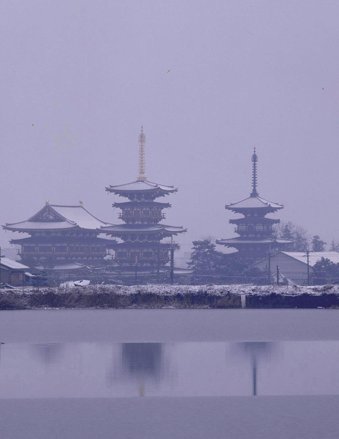 薬師寺　金堂　東塔　西塔　雪景色_c0108146_2251545.jpg