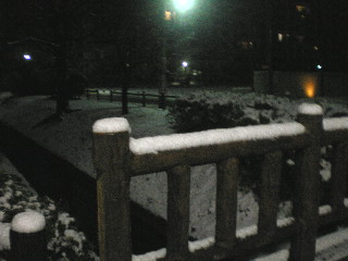 c0118352_1503323.jpg