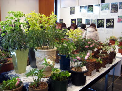c0147952_21293399.jpg