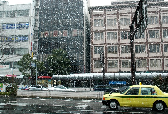 　　和歌山市にも雪が！_b0093754_0381016.jpg