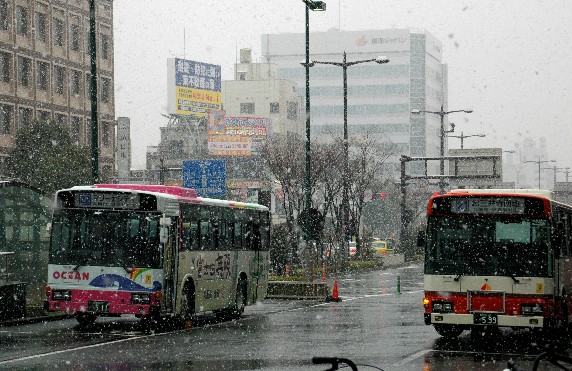 　　和歌山市にも雪が！_b0093754_038155.jpg