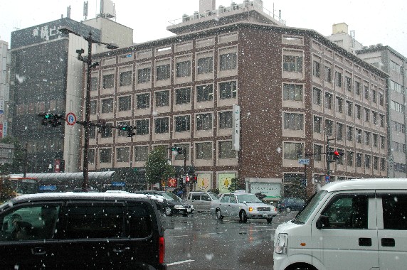 　　和歌山市にも雪が！_b0093754_0382725.jpg