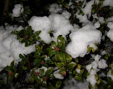 f0139963_9285469.jpg