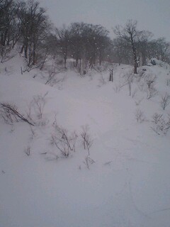 雪山情報★_c0151965_22192735.jpg