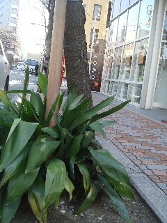 東京てんやわんや旅。_f0121167_044378.jpg