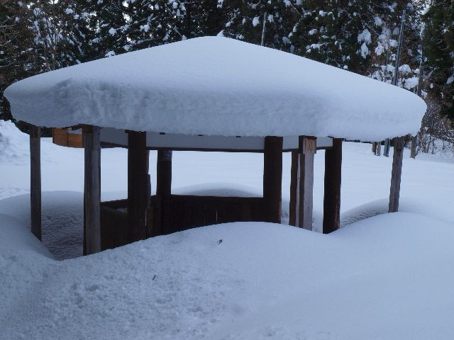 天気は急速に下降気味。_a0025576_21231761.jpg