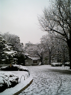 雪の大阪城_c0079181_0501437.jpg