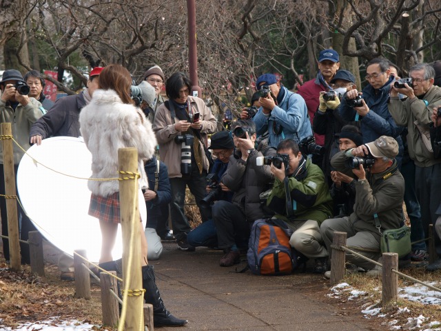 梅ヶ丘　梅の花？_d0016584_18592964.jpg