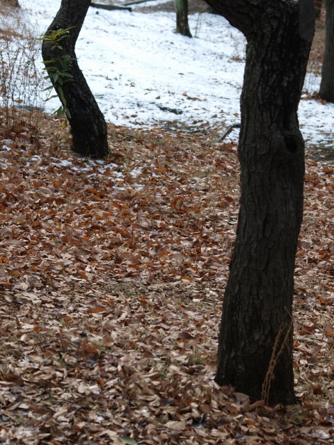 d0016584_1985685.jpg