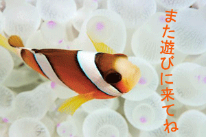 a0109187_98076.gif