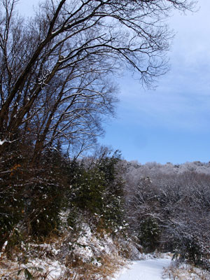 e0123889_12514381.jpg