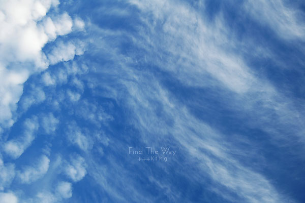 雲のように_f0054594_427168.jpg