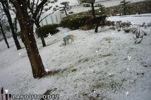 a0018200_174567.gif