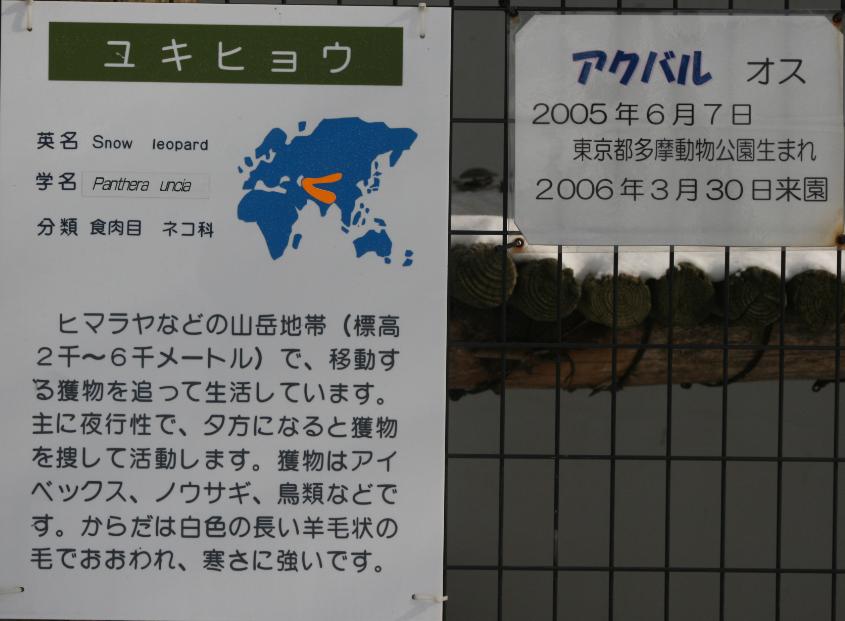 c0155902_92319.jpg