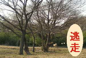 f0109202_2015645.jpg