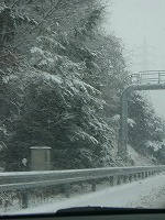 c0148705_10335294.jpg
