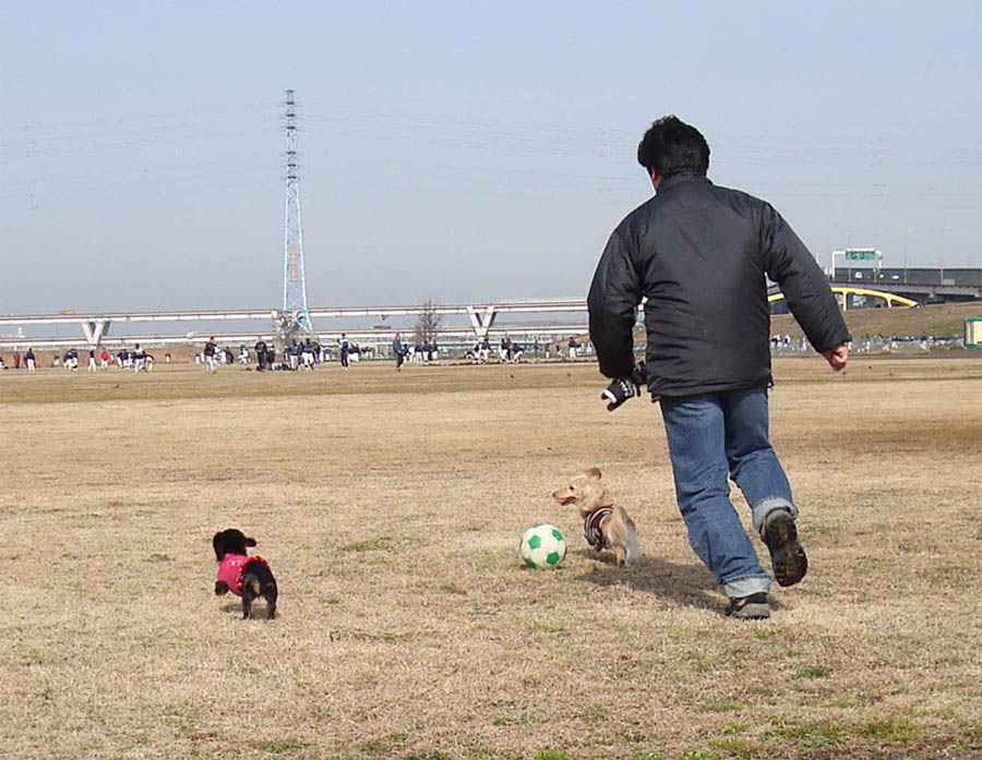 c0117831_20145112.jpg