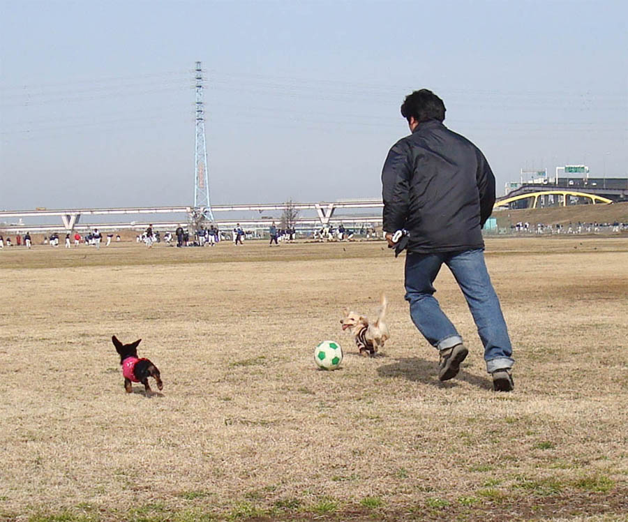 c0117831_2015157.jpg