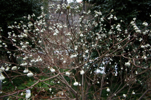 f0145933_1004388.jpg