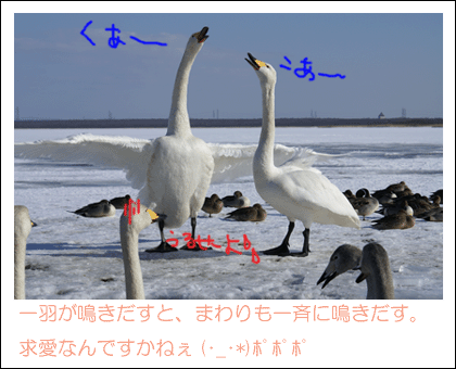 d0143239_21561089.gif
