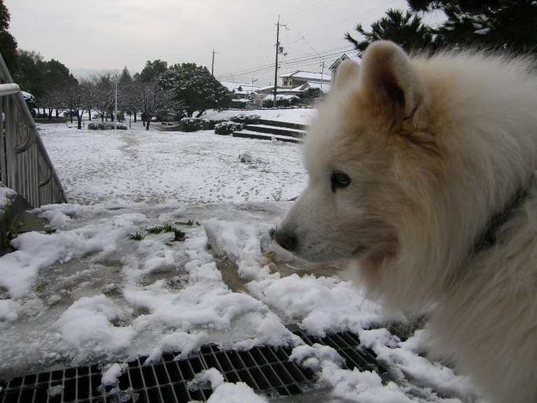 牡蠣オフ2008 その1_f0128542_38920.jpg