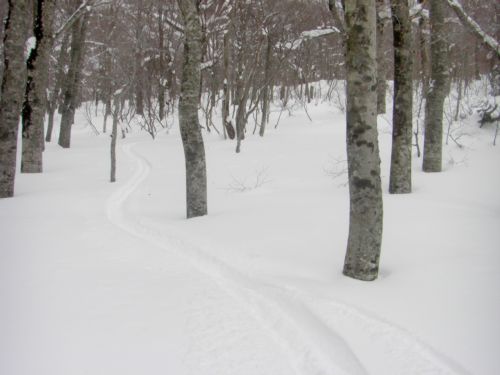 20080211_秋田八幡平_c0081645_23415012.jpg