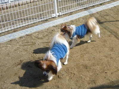 e0100046_17574293.jpg