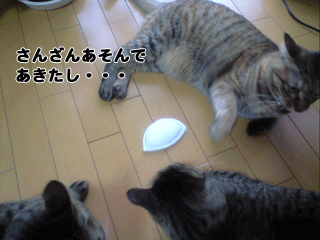 f0116546_0552396.gif