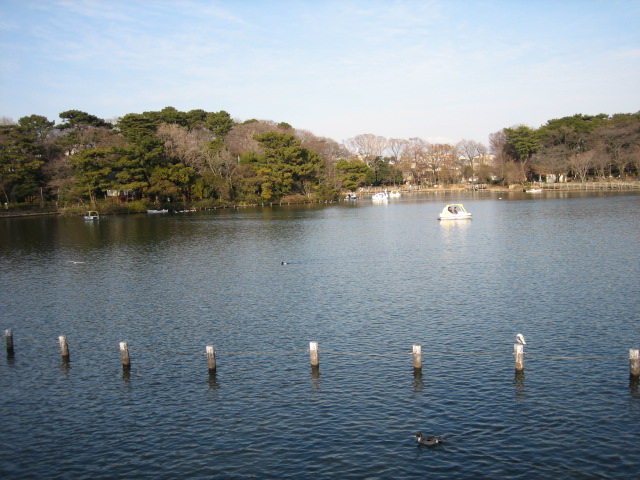 e0009547_23484676.jpg