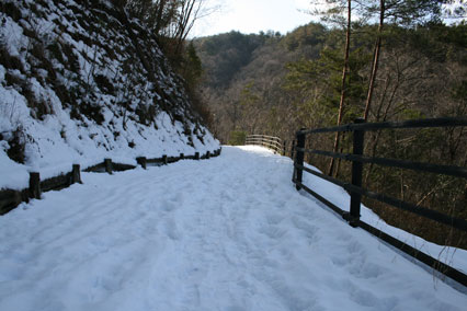 c0080856_10362029.jpg