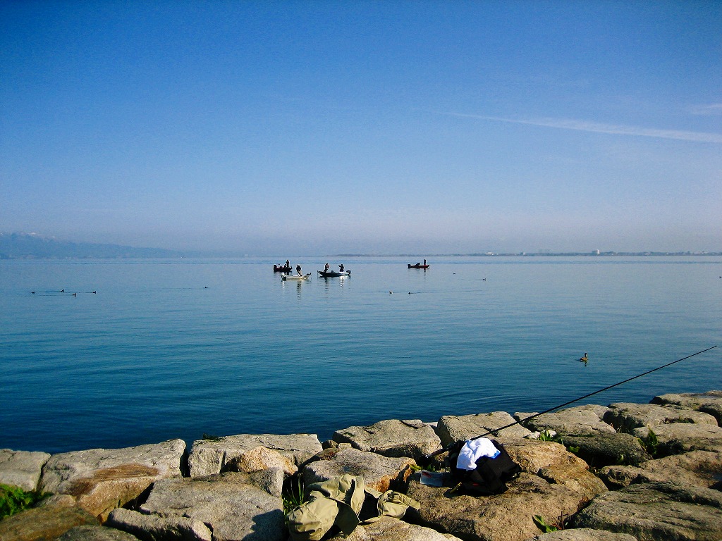 c0127358_18104751.jpg