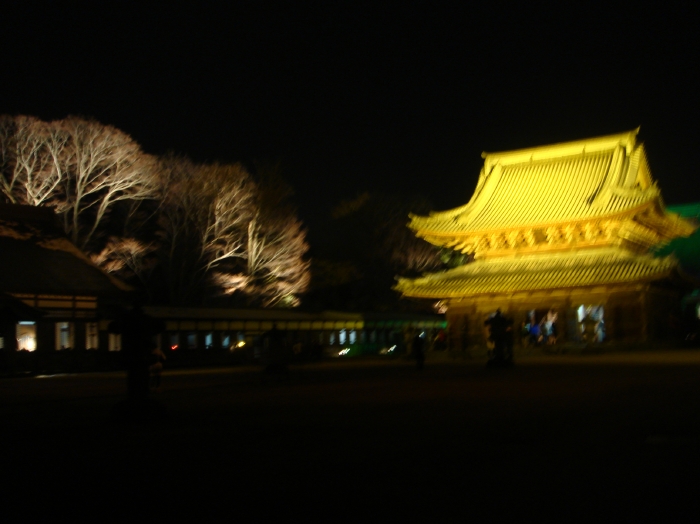 c0108460_2246493.jpg