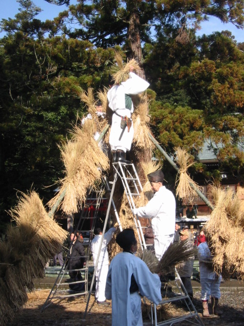 御願（ゴンガン）さん×菅生石部神社×「竹割り祭り」・・・前後_d0094868_1638473.jpg