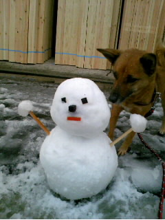 雪の日(続き？)_e0081772_1384094.jpg