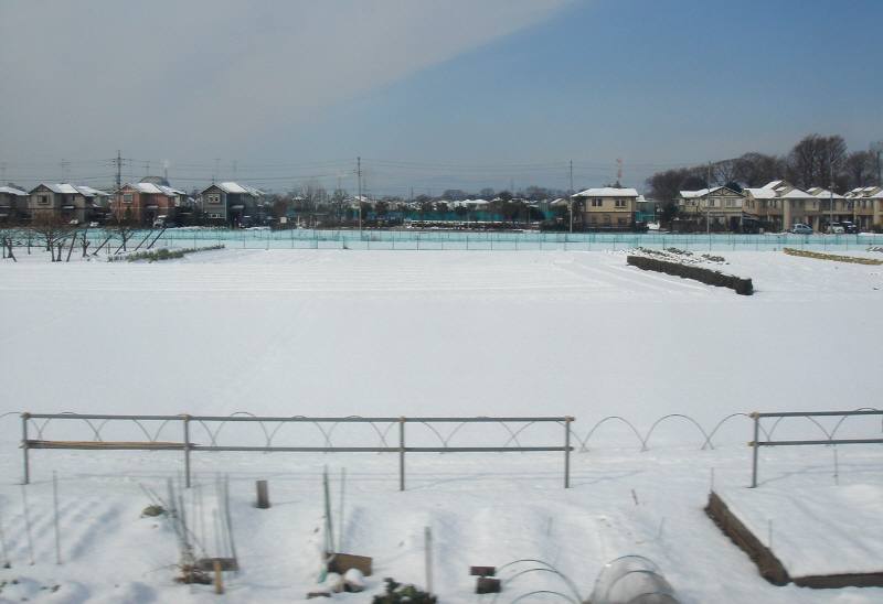 f0059673_01723.jpg
