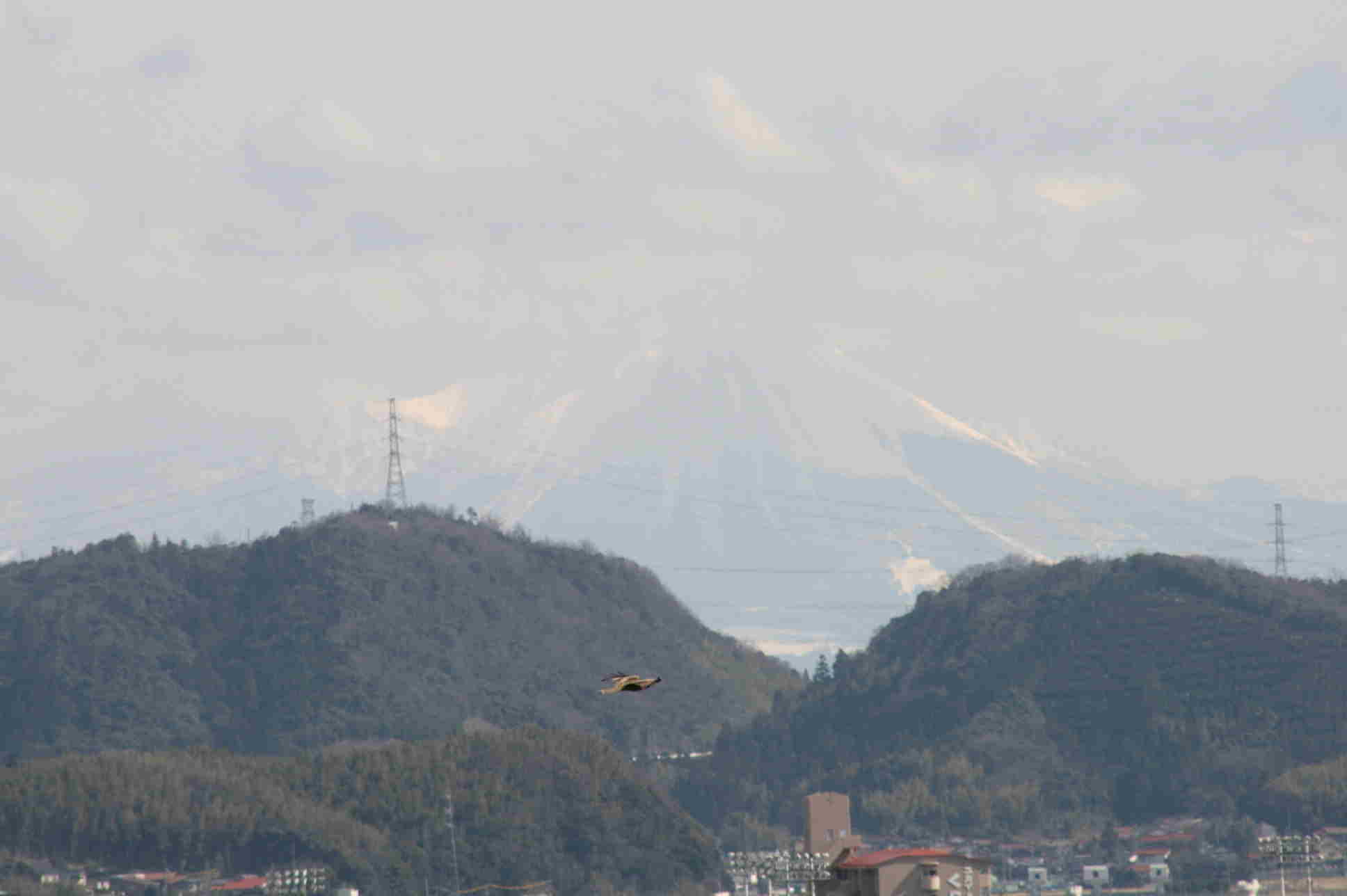 f0153475_2161021.jpg