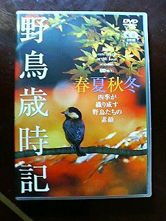 家族団らん_f0054677_6341286.jpg