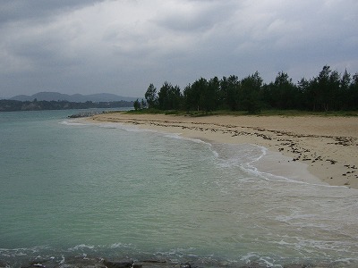 b0011980_13211373.jpg