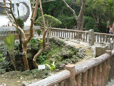 b0011980_13295822.jpg