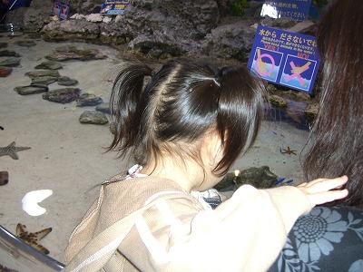b0011980_1353059.jpg