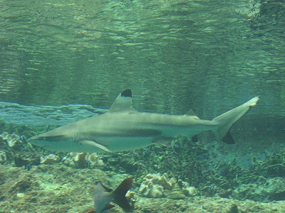 b0011980_139828.jpg