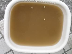 e0130185_23563471.jpg