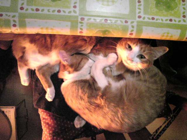 f0027189_2247327.jpg