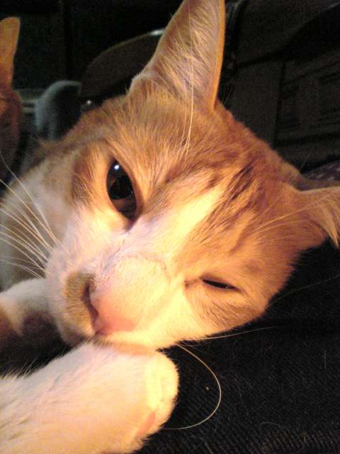 f0027189_22482454.jpg