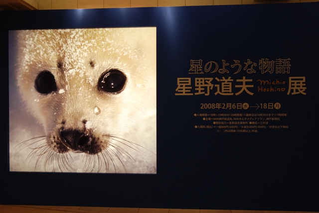 d0091700_18194817.jpg