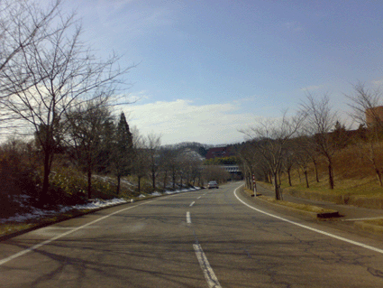 f0061401_12243588.gif