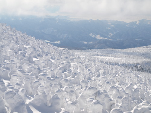 　蔵王「樹氷」その壱　_b0111004_7511272.jpg